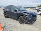 2023 Honda Cr-v Sport Gray vin: 7FARS6H53PE019078