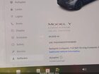 2023 Tesla Model Y   Gray vin: 7SAYGAEE0PF606695