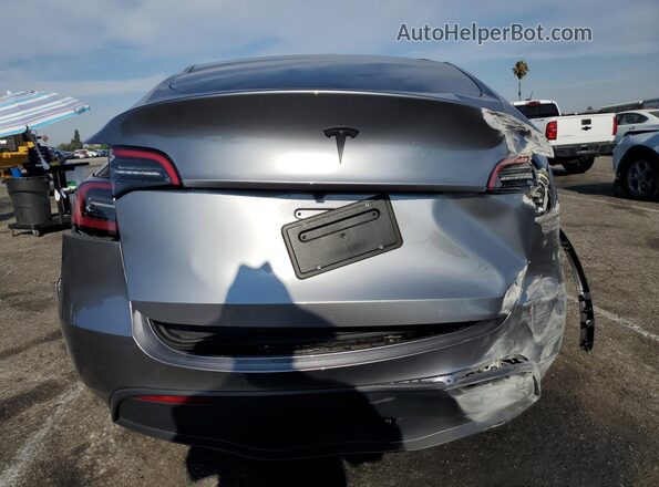 7SAYGDED7SF259884 2025 TESLA MODEL Серый Вид сзади