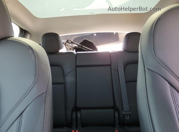 7SAYGDEE7SF276144 2025 TESLA MODEL Blue Vista de los asientos traseros