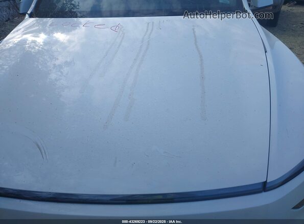 7SAYGDEE7TA449451 2026 TESLA MODEL Y White Вид ззаду