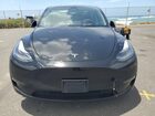 2023 Tesla Model Y Черный vin: 7SAYGDEF0PF958265