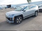 2026 Hyundai Ioniq 9 Sel Gray vin: 7YAMUFS33TY006731