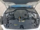 2023 Infiniti Q50 Red Sport 400 White vin: JN1FV7DP0PM570520