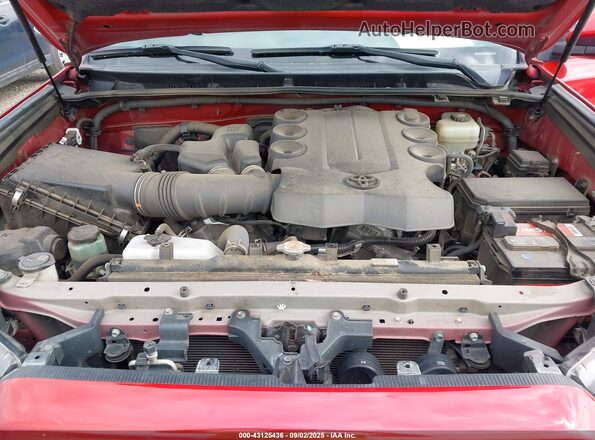 JTERU5JR8M5930447 2021 TOYOTA 4RUNNER Красный Вид сзади