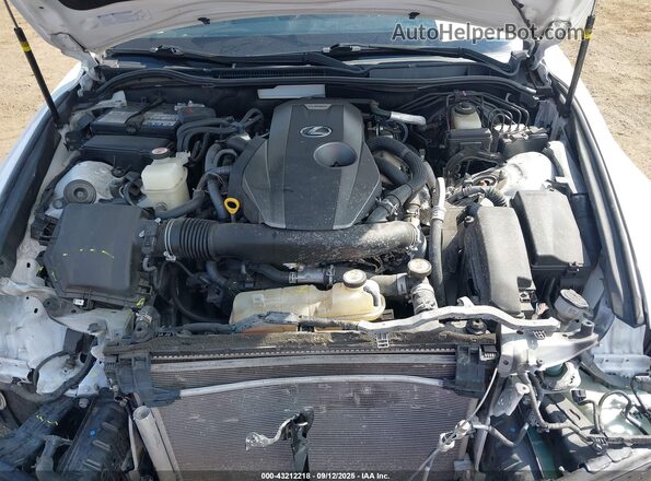 JTHGA1D27L5105377 2020 LEXUS IS 300 Белый Вид сзади