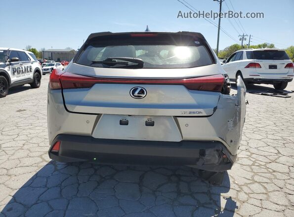 JTHP9JBH1L2025445 2020 LEXUS UX Gray Vista trasera