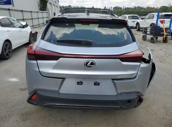 JTHR6JBH1R2193306 2024 LEXUS UX Silver Widok z tyłu