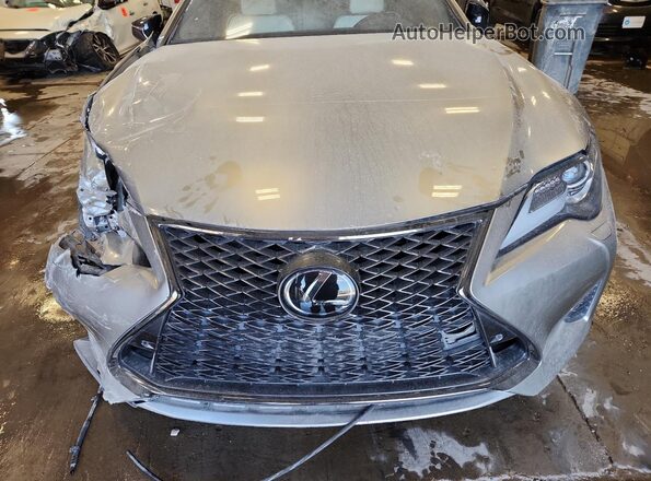 JTHSZ5BC2K5009614 2019 LEXUS RC Серебряный Вид задней части салона
