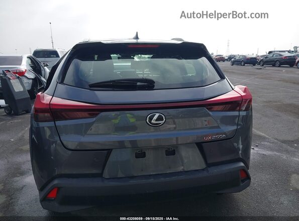 JTHX6JBH3R2160069 2024 LEXUS UX 250H Gray 