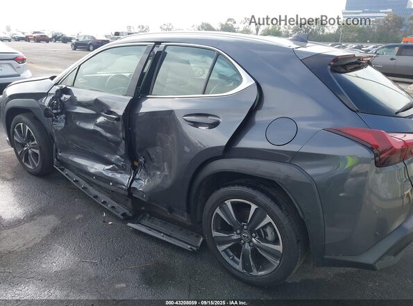 JTHX6JBH3R2160069 2024 LEXUS UX 250H Gray Widok z przodu