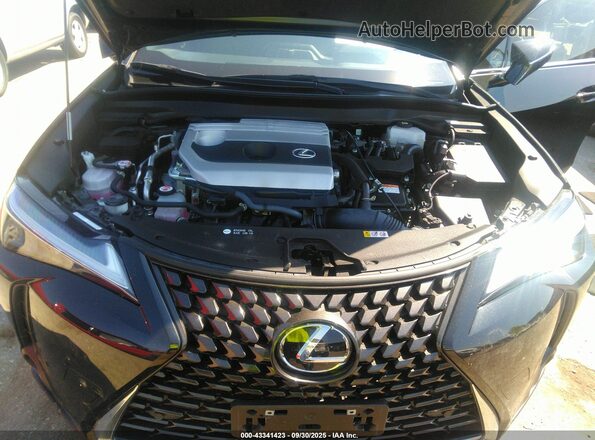 JTHX6JBH5R2186706 2024 LEXUS UX 250H Black Vista trasera