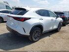2023 Lexus Nx 250   Белый vin: JTJADCAZ2P5011986