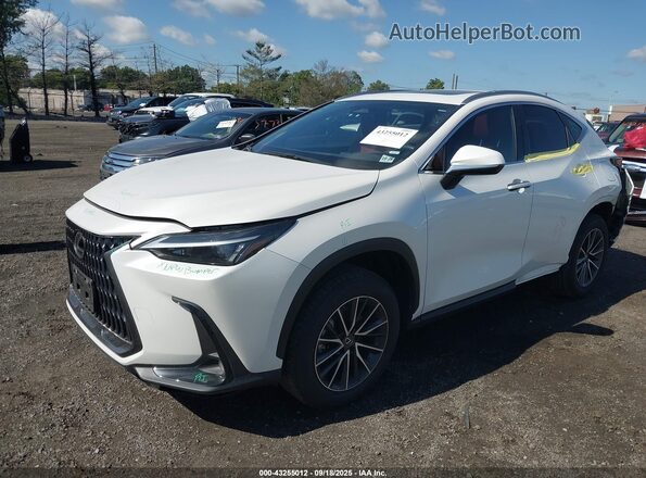 JTJAGCEZXR5007639 2024 LEXUS NX 350 Белый Передняя левая четверть