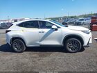 2024 Lexus Nx 350   Белый vin: JTJAGCEZXR5007639