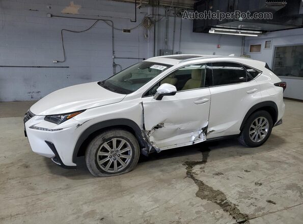 JTJDARDZXM5026297 2021 LEXUS NX White Передня ліва чверть