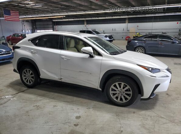 JTJDARDZXM5026297 2021 LEXUS NX White Передня права чверть