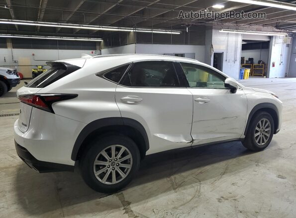 JTJDARDZXM5026297 2021 LEXUS NX White Задня права чверть