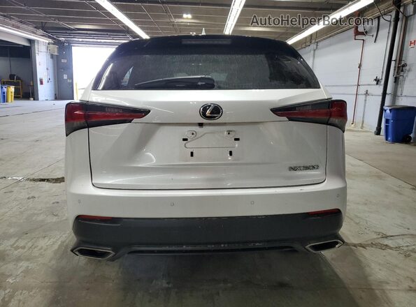 JTJDARDZXM5026297 2021 LEXUS NX White Вид ззаду