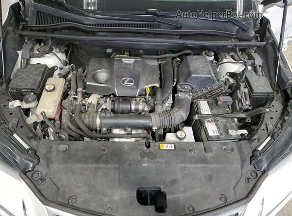 JTJDARDZXM5026297 2021 LEXUS NX White Вид задньої частини салону