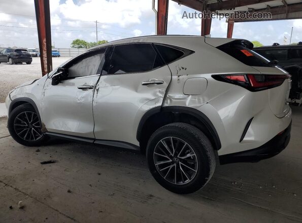 JTJGDCAZ4S2015753 2025 LEXUS NX White უკანა მარცხენა