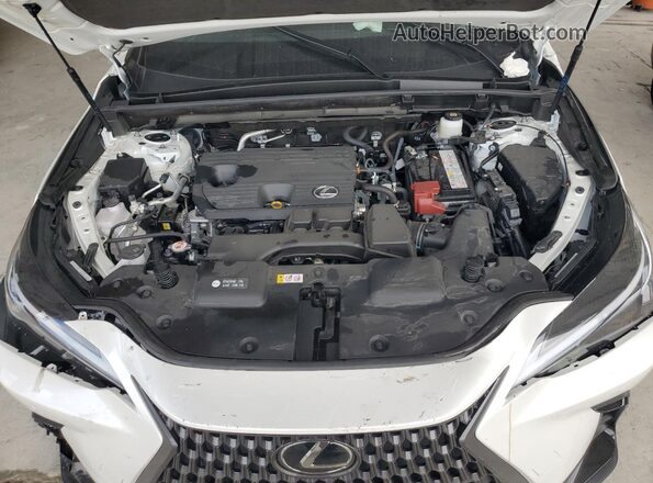 JTJGDCAZ4S2015753 2025 LEXUS NX White ძრავის განყოფილების ხედი