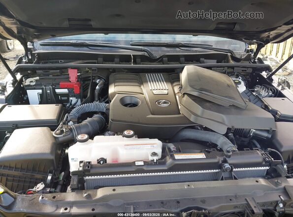 JTJMB7CX3R4065974 2024 LEXUS LX 600 Черный Вид сзади