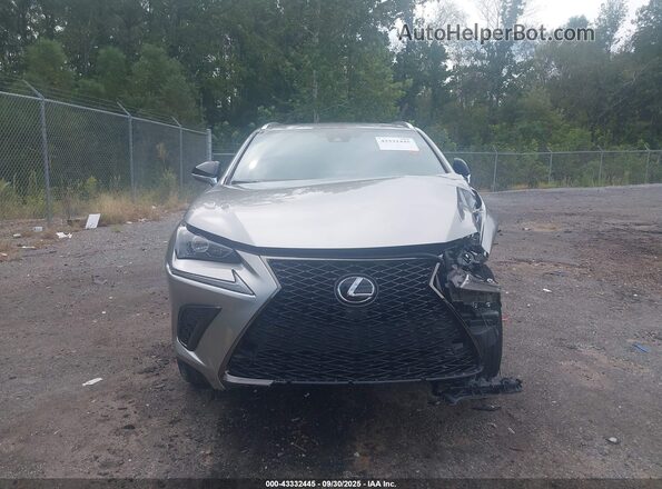 JTJSARBZ7M2203562 2021 LEXUS NX 300 Silver Вид задньої частини салону