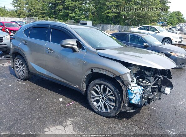 JTJSARDZ3L2228440 2020 LEXUS NX 300 Gray Առջևի աջ