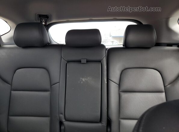 KM8J3CAL3MU410534 2021 HYUNDAI TUCSON Gray Rear seats view