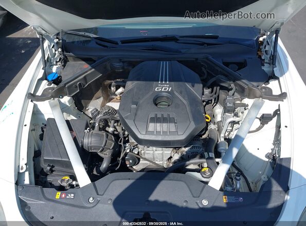 KNAE15LA2J6041245 2018 KIA STINGER Белый Вид сзади