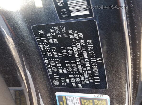 KNDMB5C14L6578150 2020 KIA SEDONA Gray Widok naklejki z numerem VIN