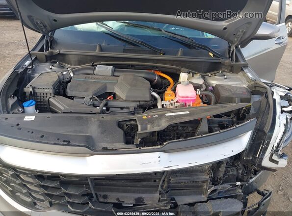KNDPUCDG6R7134754 2024 KIA SPORTAGE HYBRID Серый Вид сзади