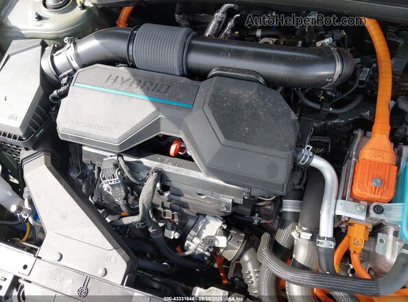KNDPYDDH1S7190416 2025 KIA SPORTAGE PLUG-IN HYBRID Зеленый Вид сзади