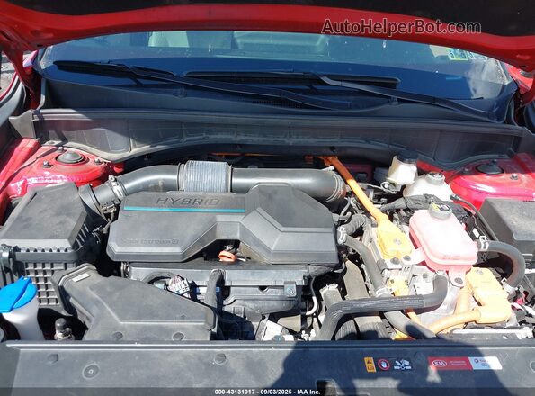 KNDRH4LG0M5024470 2021 KIA SORENTO HYBRID Красный Вид сзади