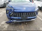 2025 Buick Envision Avenir Awd Blue vin: LRBFZME45SD009080
