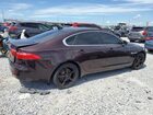 2016 Jaguar Xf Premium Burgundy vin: SAJBD4BV3GCY17762