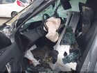 2023 Land Rover Discovery Sport Se Серебряный vin: SALCP2FX6PH919921