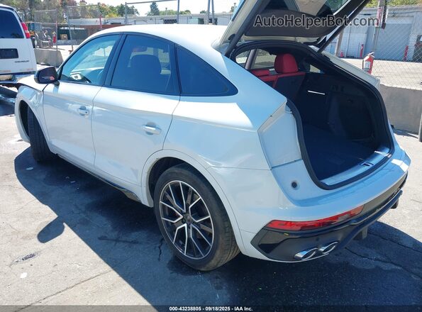WA124AFY9R2049922 2024 AUDI SQ5 Белый Задняя левая четверть
