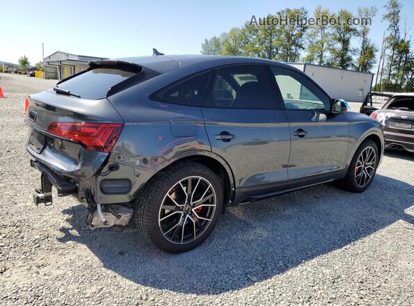 WA134AFY0R2122017 2024 AUDI SQ5 Gray Հետևի աջ