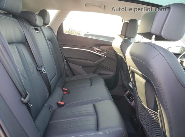WA14AAGE3RB028778 2024 AUDI Q8 Black Vista interior trasera