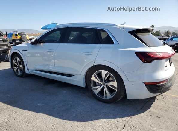 WA15AAGE3RB033709 2024 AUDI Q8 White უკანა მარცხენა