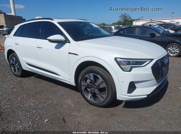 WA1AAAGE0NB042425 2022 AUDI E-TRON White Przód prawy