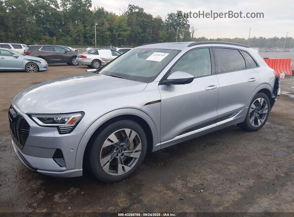 WA1AAAGE0NB045633 2022 AUDI E-TRON Silver Панорамний вид салону 360°