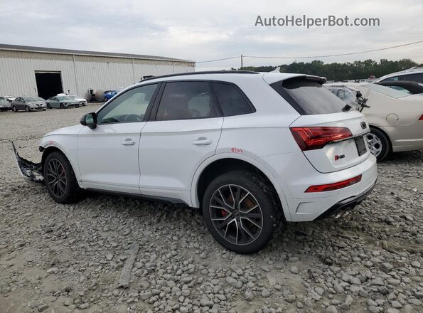 WA1B4AFY2R2135377 2024 AUDI SQ5 White Задня ліва чверть
