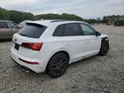 2024 Audi Sq5 Premium Plus White vin: WA1B4AFY2R2135377
