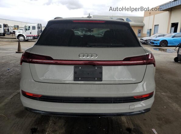 WA1LAAGE2NB032102 2022 AUDI E-TRON Gray Հետևի տեսք