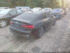 2024 Audi S5 Sportback Premium Plus Tfsi Quattro Tiptronic Черный vin: WAUC4CF53RA122314