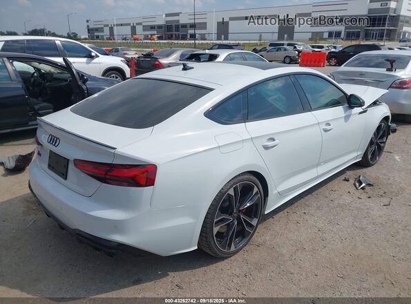 WAUC4CF55SA008255 2025 AUDI S5 White Tył prawy