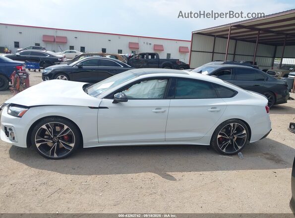 WAUC4CF55SA008255 2025 AUDI S5 White Widok wnętrza 360 stopni